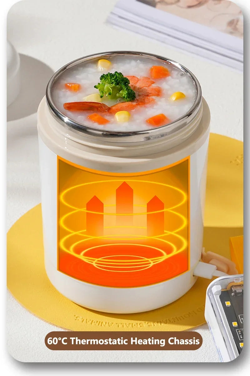 USB Electric Heating Lunch Box | 600ML Insulated Food Warmer | Leakproof